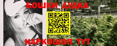 a pvp Краснознаменск