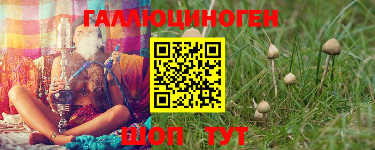 Галлюциногенные грибы мухоморы  Псилоцибиновые грибы Cubensis  Вход с VPN  Сочи 