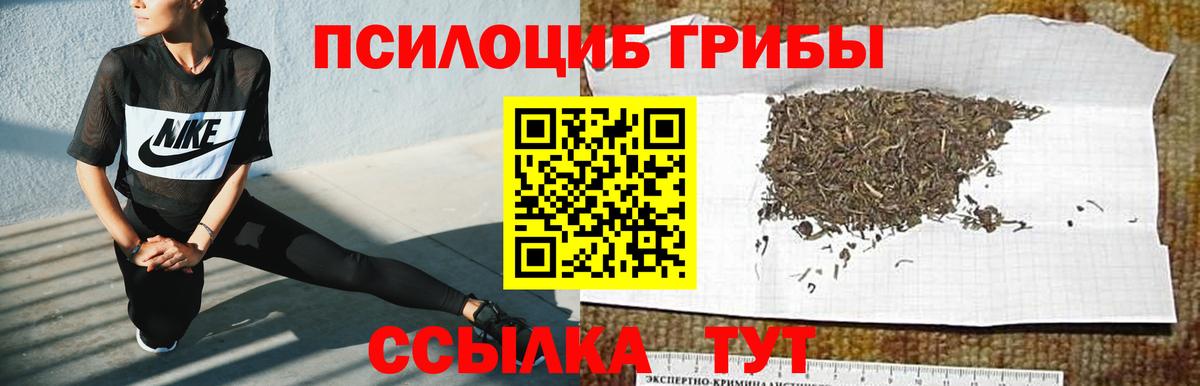 Галлюциногенные грибы ЛСД Сочи